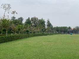  Agricultural Land for Sale in Sohna Road, Faridabad