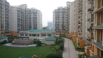 3 BHK Builder Floor for Sale in Sun City, Sector 54 Gurgaon