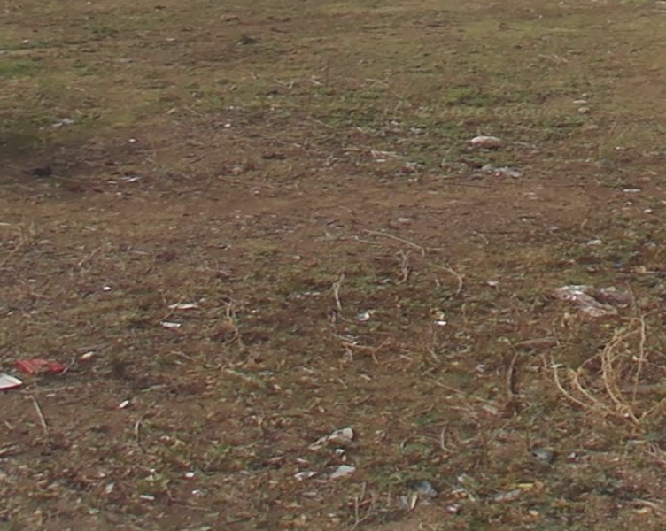  1852 Sq.ft. Residential Plot for Sale in Manpur, Sirohi