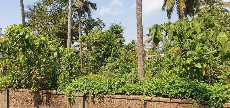 Residential Plot 11 Cent for Sale in Kavoor, Mangalore