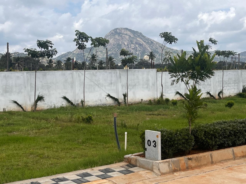 1200 Sq.ft. Residential Plot for Sale in Chikkaballapur, Bangalore