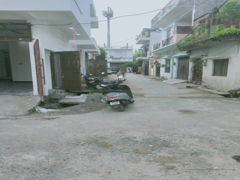 Para, Lucknow photo 4