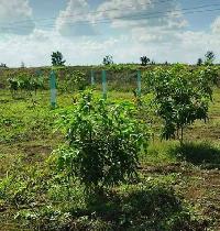 Agricultural Land for Sale in Ongur, Villupuram