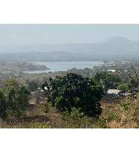 42 Guntha Agricultural Land for Sale in Lonavala, Pune