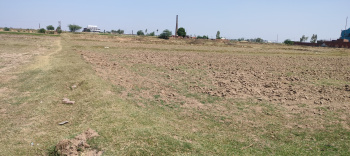  Agricultural Land for Sale in Peer Muchalla, Zirakpur