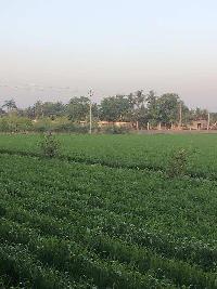  Agricultural Land for Sale in Sasan Gir, Junagadh