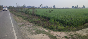  Industrial Land for Sale in Majhola, Moradabad