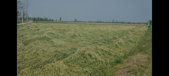  Agricultural Land for Sale in Khatima, Udham Singh Nagar