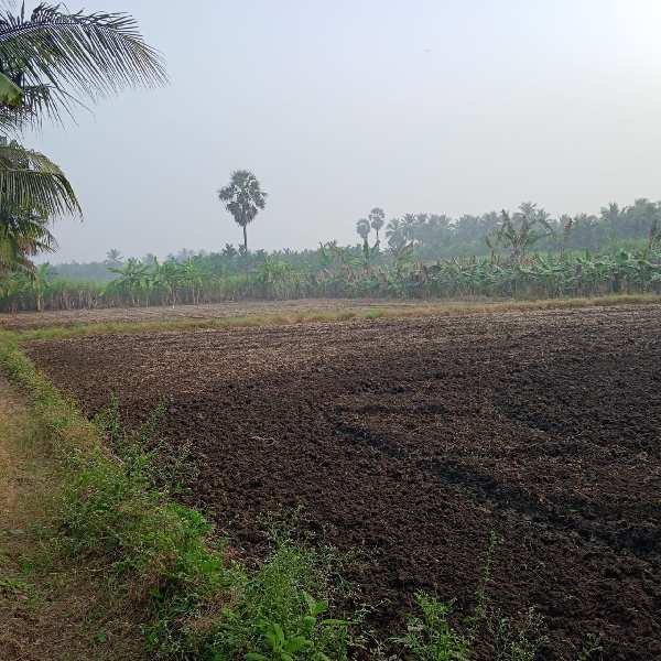 Agricultural Land 2 Acre for Sale in Bhavani, Erode