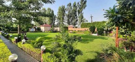  Agricultural Land for Sale in Sector 135 Noida