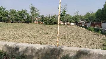 1 BHK Farm House for Sale in Sector 128 Noida