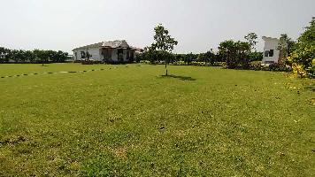 3 BHK Farm House for Sale in Yamuna Expressway, Greater Noida