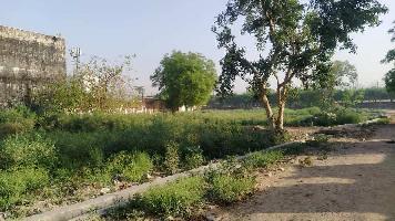  Agricultural Land for Sale in Dankaur, Greater Noida