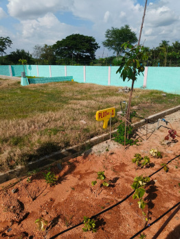  Residential Plot for Sale in Renigunta, Tirupati