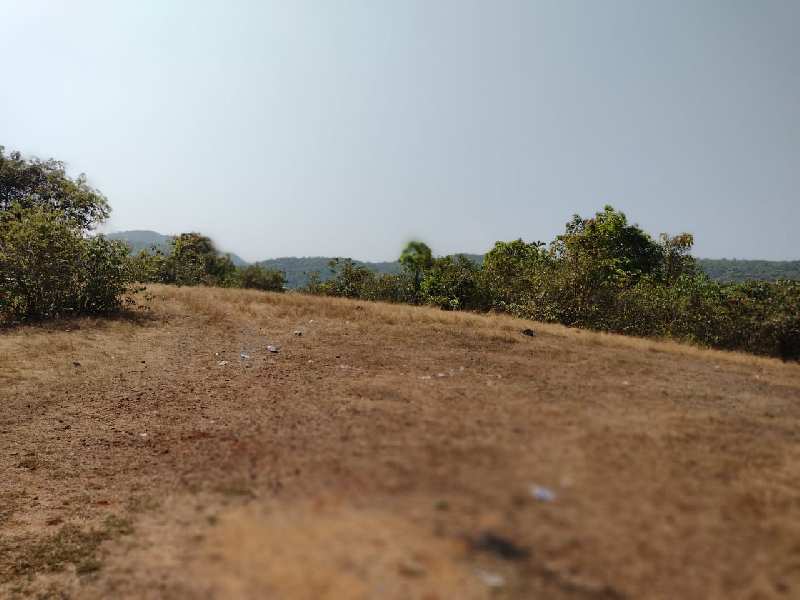2 Guntha Residential Plot for Sale in Kankavli, Sindhudurg (REI1047847)