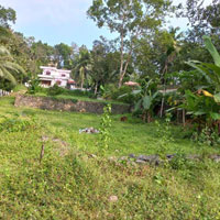  Residential Plot for Sale in Vazhithala, Idukki