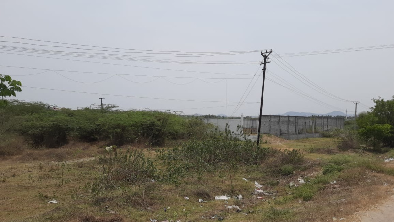 Arcot, Vellore photo 4