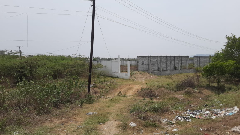 Arcot, Vellore photo 3