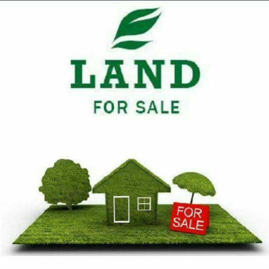  1072 Sq.ft. Residential Plot for Sale in Pipla Kharsoli Road, Nagpur