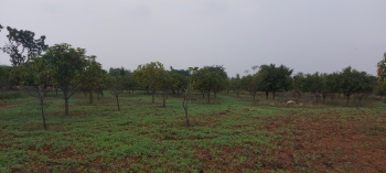  Residential Plot for Sale in Bagalur, Bangalore