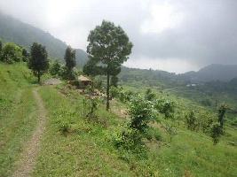 1 BHK House for Sale in Bhimtal, Nainital