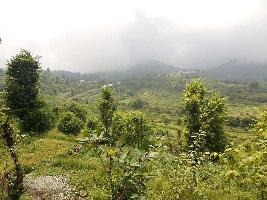  Residential Plot for Sale in Bhimtal, Nainital