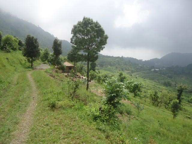 1 BHK House 550 Sq.ft. for Sale in Bhimtal, Nainital