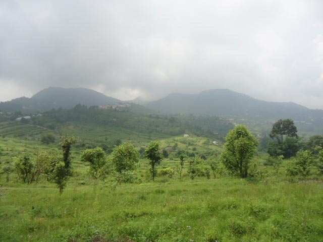 1 BHK House 550 Sq.ft. for Sale in Bhimtal, Nainital