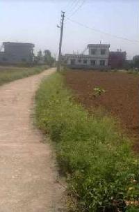  Agricultural Land for Sale in Nakronda, Dehradun
