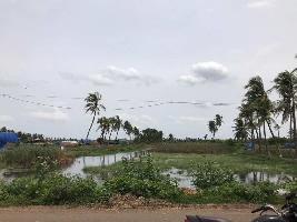  Agricultural Land for Sale in Anakoderu, Bhimavaram, Bhimavaram