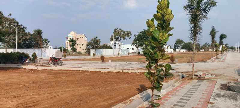  1200 Sq.ft. Residential Plot for Sale in KK Nagar, Tiruchirappalli