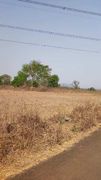  Agricultural Land 60 Guntha for Sale in Wada, Palghar