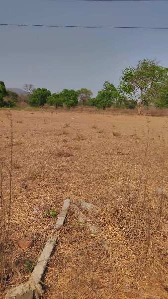  Agricultural Land 60 Guntha for Sale in Wada, Palghar