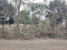  Agricultural Land for Sale in Wada, Palghar