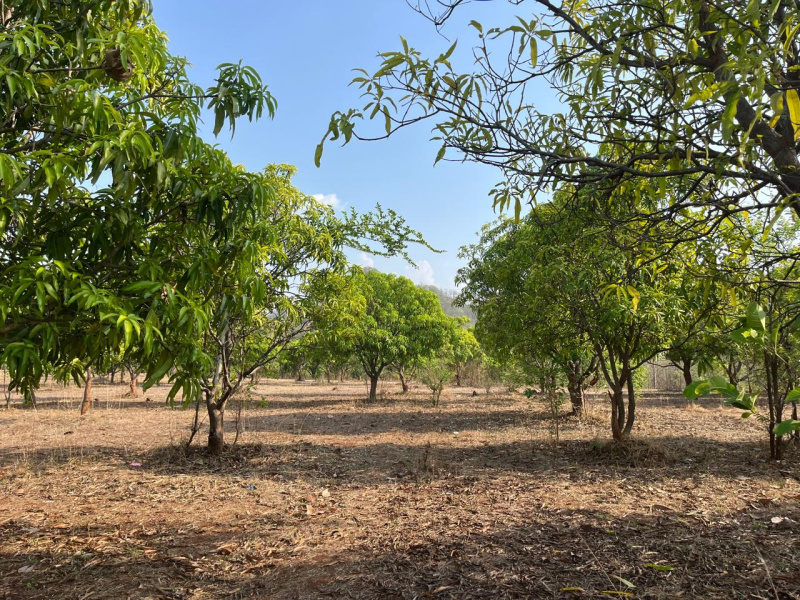 Residential Plot 52 Ares for Sale in Wada, Palghar