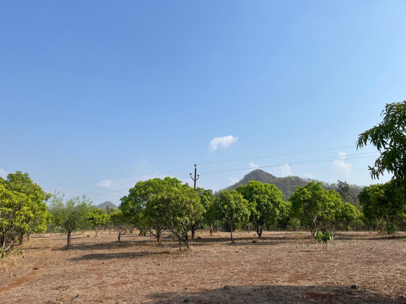  Residential Plot 52 Ares for Sale in Wada, Palghar