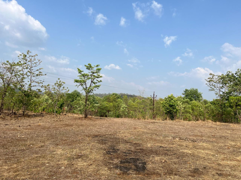  Residential Plot 52 Ares for Sale in Wada, Palghar