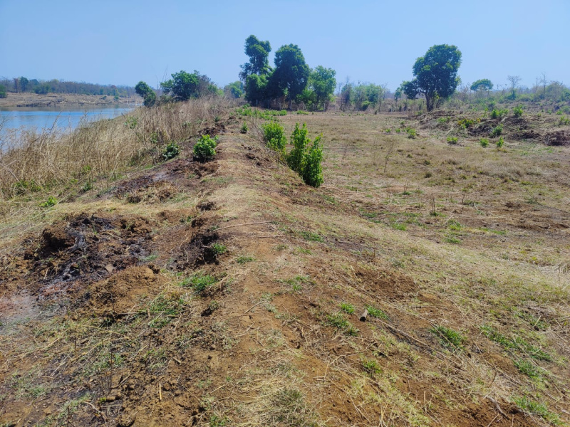  Residential Plot 4 Acre for Sale in Wada, Palghar