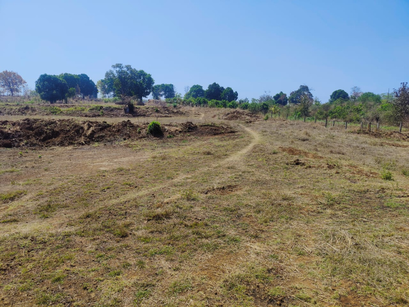  Residential Plot 4 Acre for Sale in Wada, Palghar