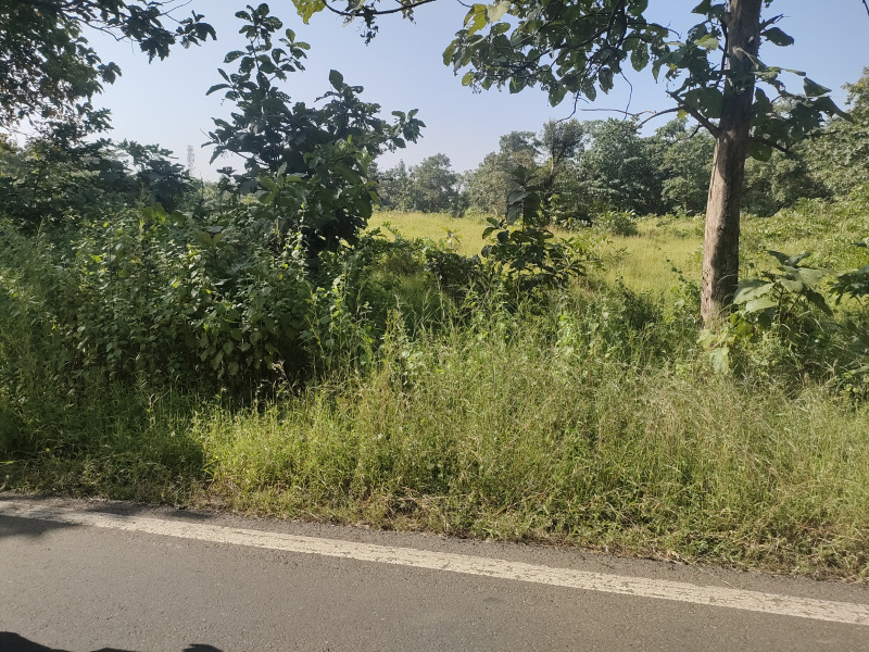  1 Acre Residential Plot for Sale in Wada, Palghar