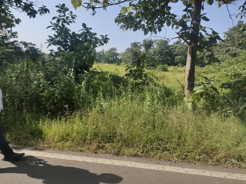  1 Acre Residential Plot for Sale in Wada, Palghar