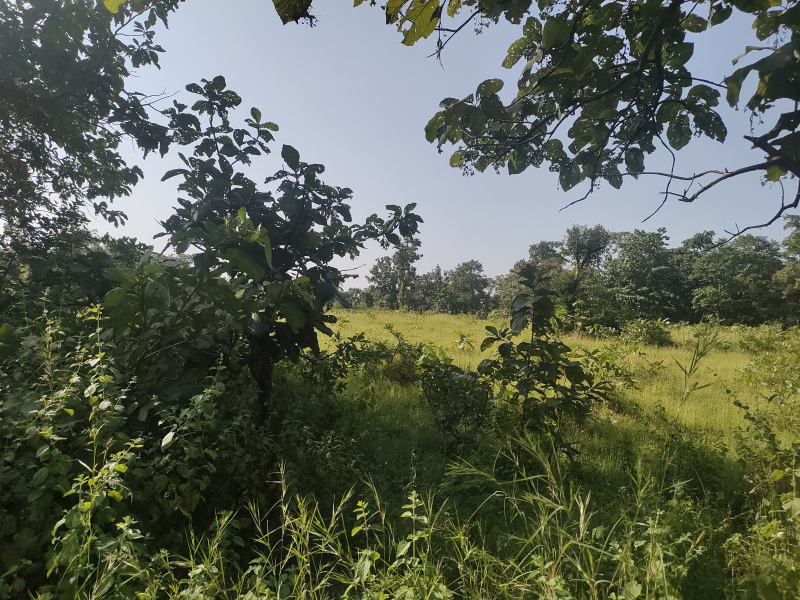 1 Acre Residential Plot for Sale in Wada, Palghar