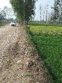  Agricultural Land for Sale in Mohanpur, Bareilly