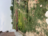  Residential Plot for Sale in Sunrakh Bangar, Vrindavan