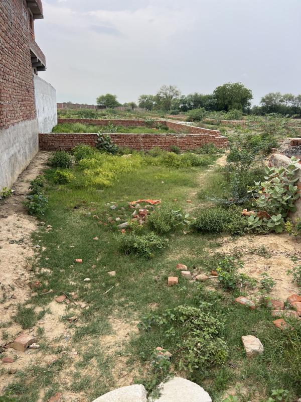  Residential Plot 128 Sq. Yards for Sale in Sunrakh Bangar, Vrindavan