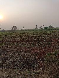  Agricultural Land for Sale in Humnabad, Bidar