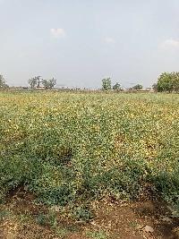  Agricultural Land for Sale in Mannaekhelli, Bidar