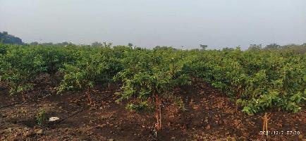  Agricultural Land for Sale in Kothapalli, Vikarabad