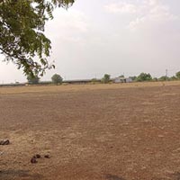  Agricultural Land for Sale in Chitguppa, Bidar