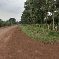  Agricultural Land for Sale in Turmamidi, Rangareddy